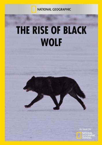 Rise Of Black Wolf/Rise Of Black Wolf@MADE ON DEMAND@This Item Is Made On Demand: Could Take 2-3 Weeks For Delivery